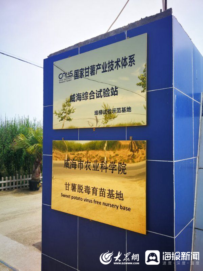 信息化賦能扶貧攻堅，激活鄉村振興新引擎